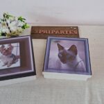 CaixaPets